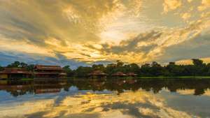Amazônia